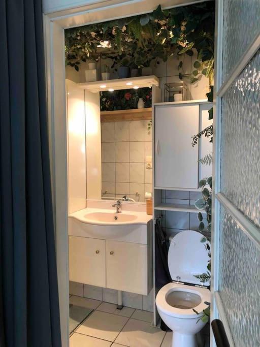 Studio Zeezucht Blankenberge Kültér fotó