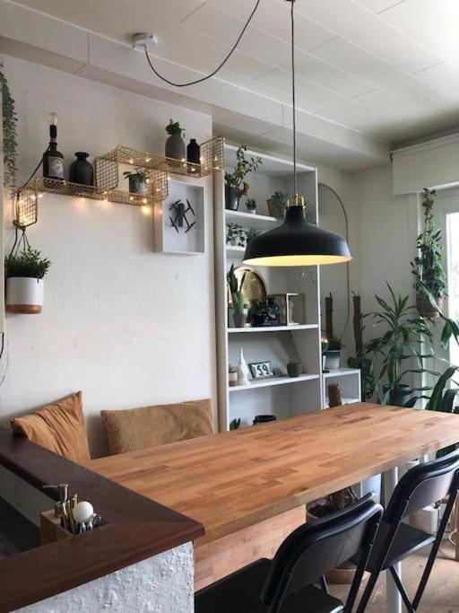 Studio Zeezucht Blankenberge Kültér fotó