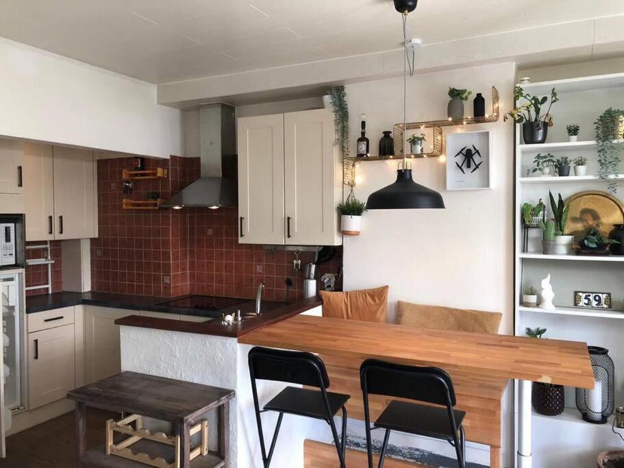 Studio Zeezucht Blankenberge Kültér fotó